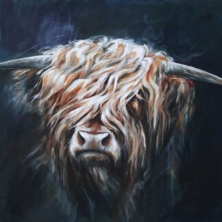 Image of Highland Bull by Hillary Barker